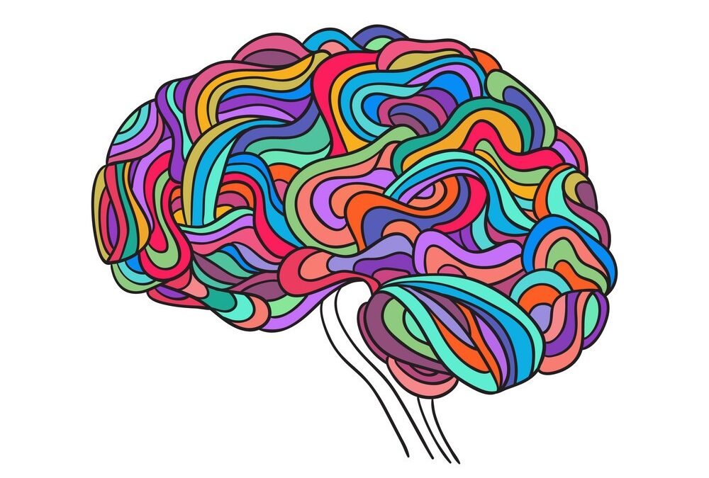 Did You Know? The Wonders of Video on Your Brain!